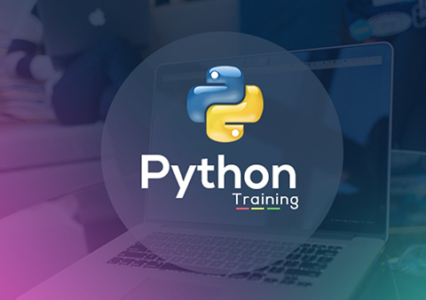 Python Training Program