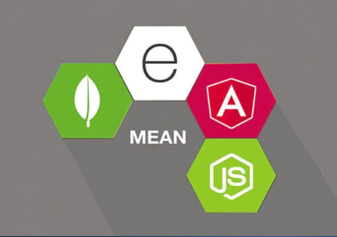 MEAN Training Program